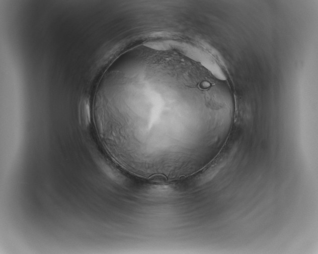 X0000111240061200907021419