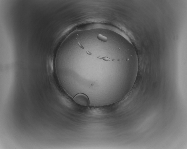 X0000111240062200907021419