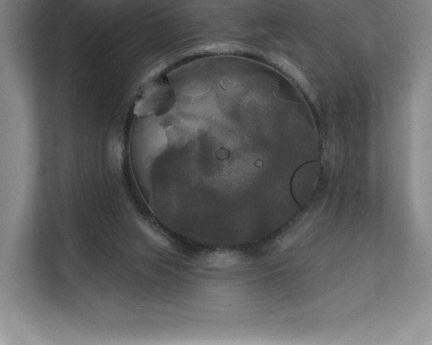 X0000111240063200907021419