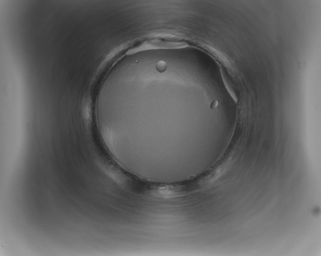 X0000111240064200907021419