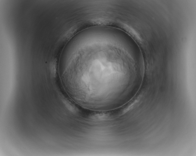 X0000111240065200907021419