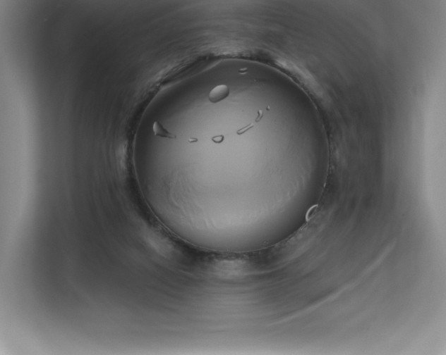 X0000111240066200907021419