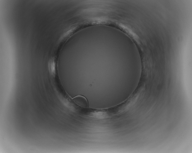 X0000111240067200907021419