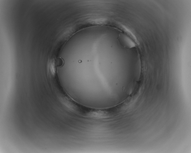 X0000111240069200907021419