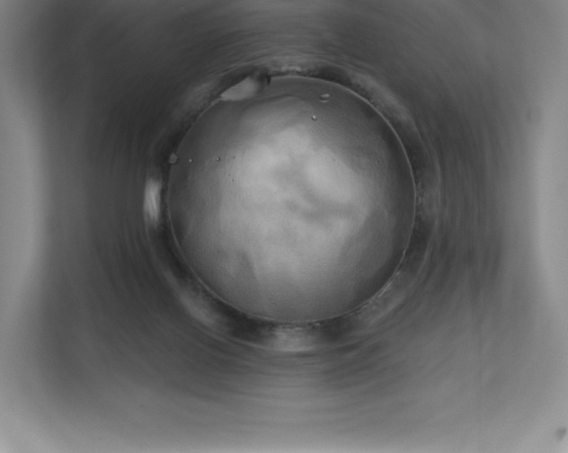X0000111240070200907021419