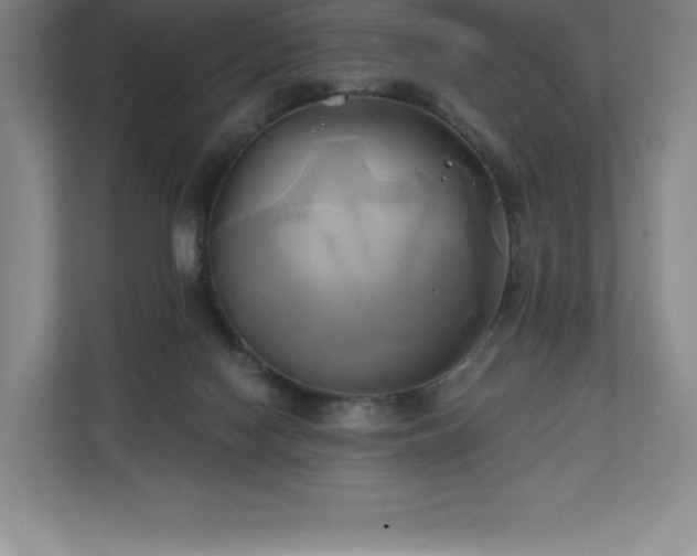 X0000111240074200907021419