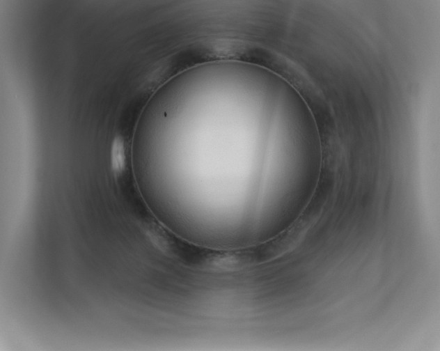 X0000111240075200907021419
