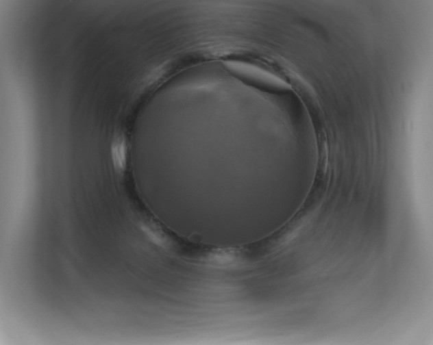 X0000111240076200907021419