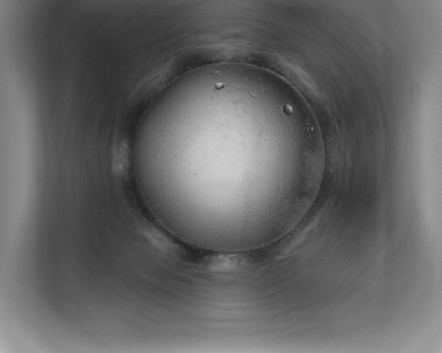X0000111240077200907021419