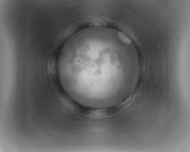 X0000111240078200907021419