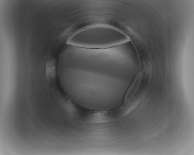 X0000111240080200907021419