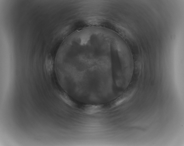 X0000111240081200907021420