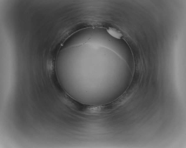 X0000111240084200907021420