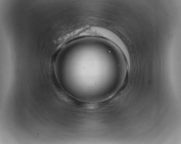 X0000111240088200907021420