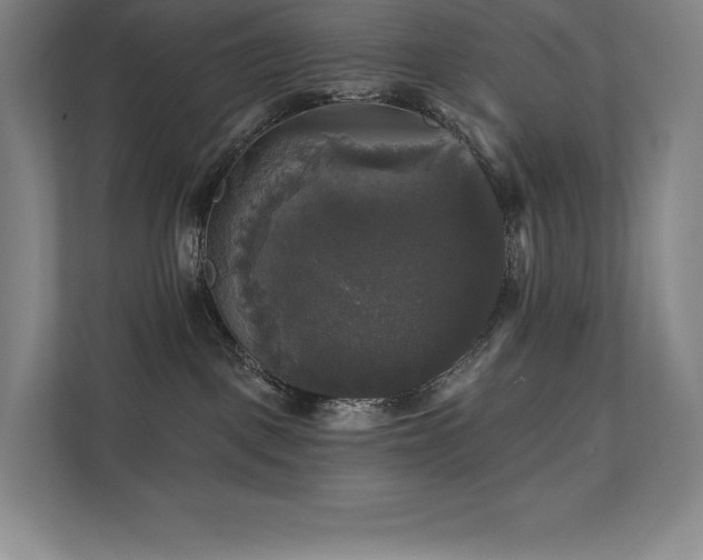 X0000111240093200907021420