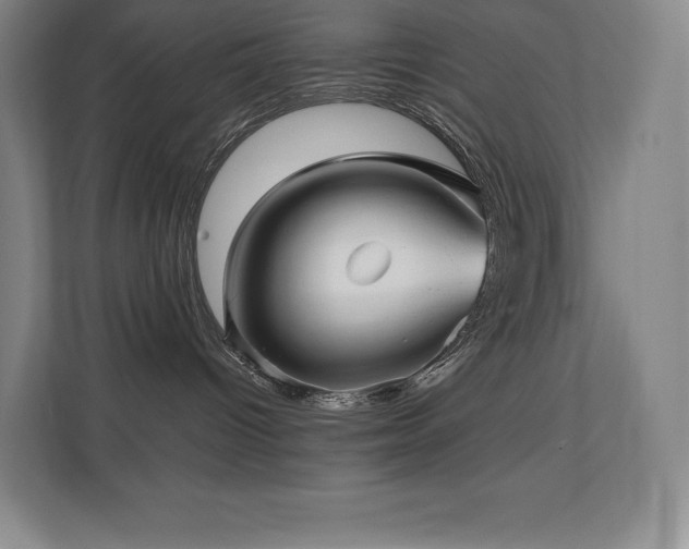 X0000111240096200907021420
