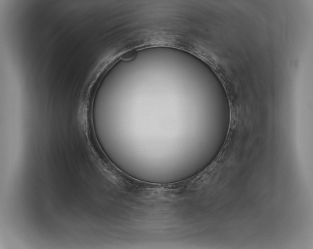 X0000111240098200907021419