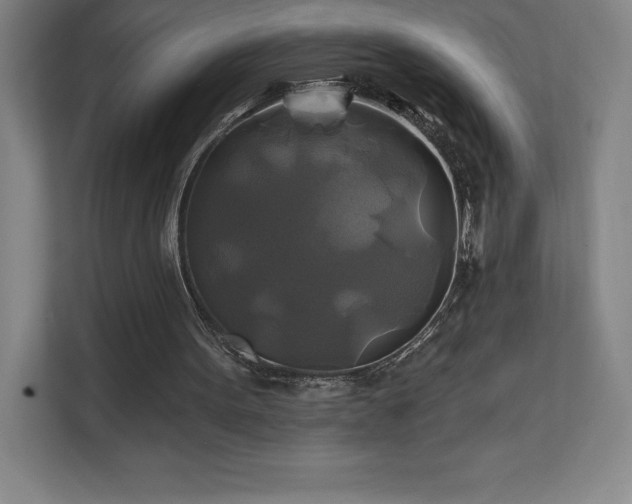 X0000111240099200907021419