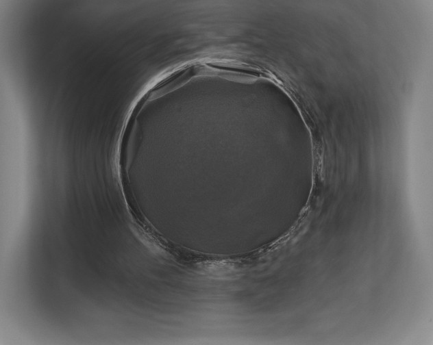 X0000111240100200907021419