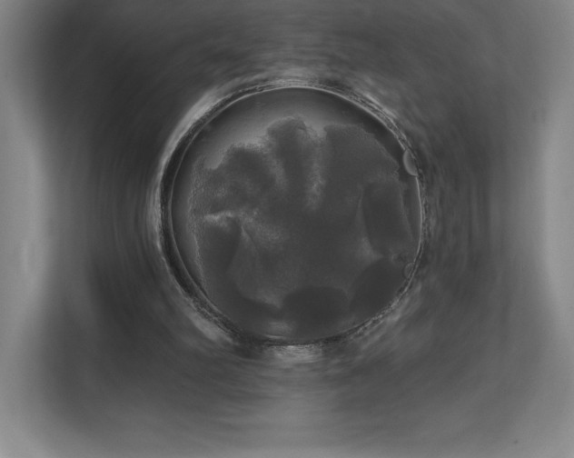 X0000111240102200907021419