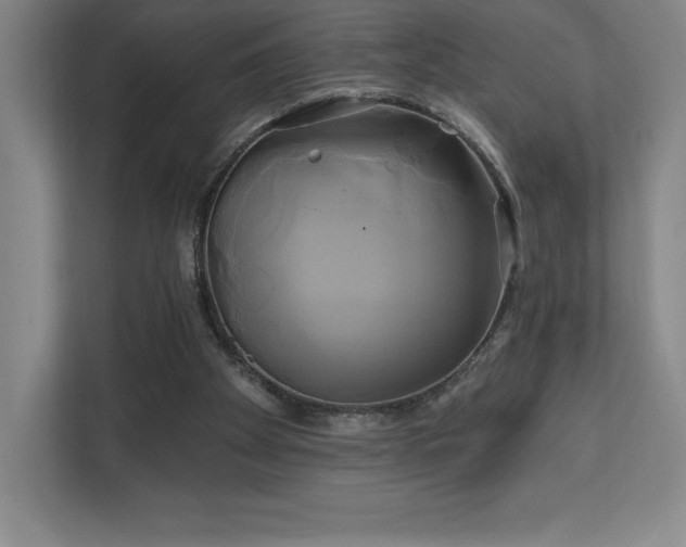 X0000111240105200907021419
