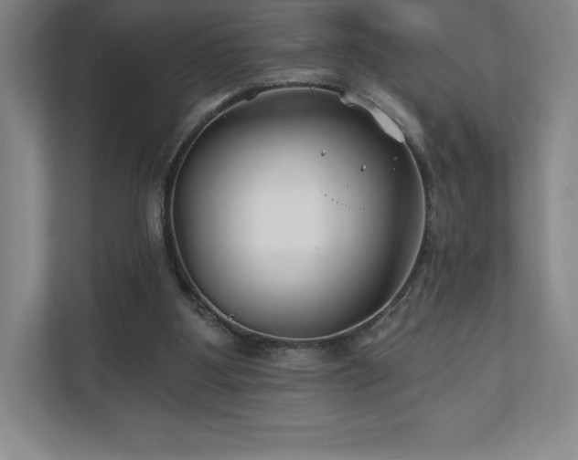 X0000111240107200907021419