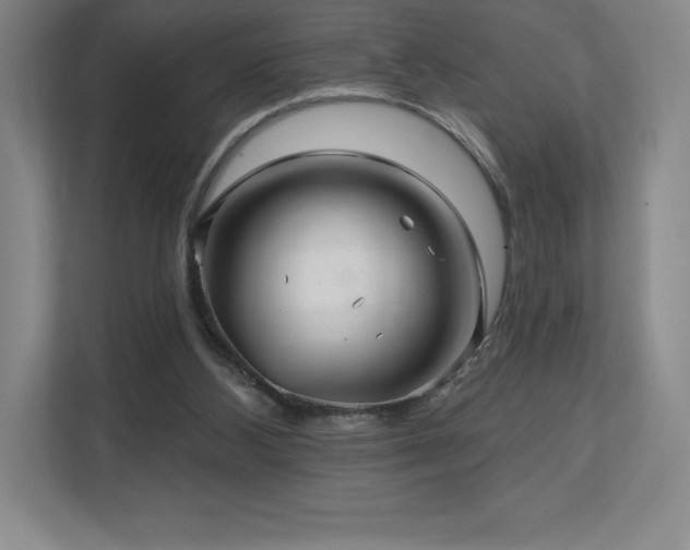 X0000111240108200907021419