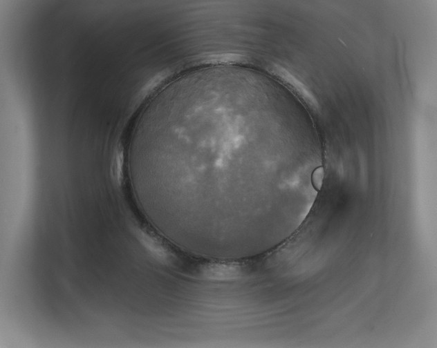 X0000111240110200907021419