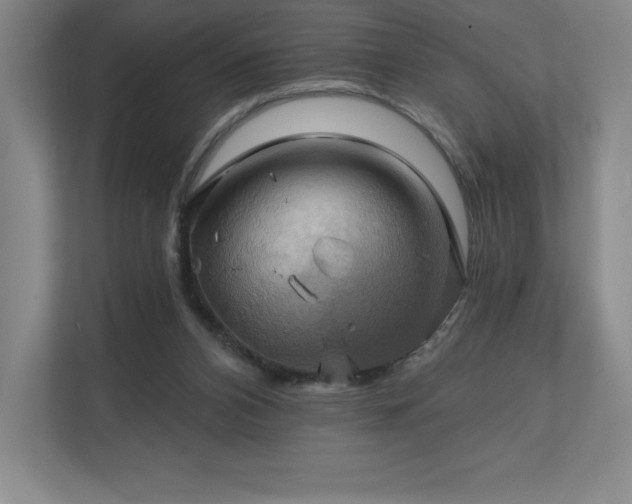X0000111240112200907021419