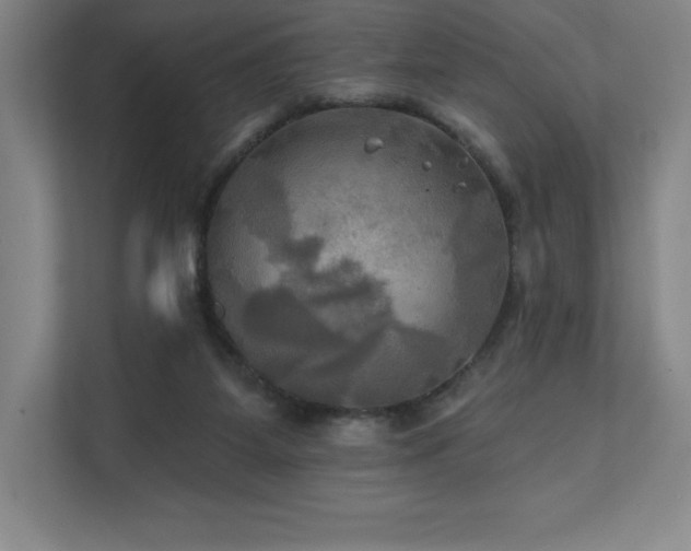 X0000111240115200907021419