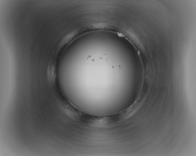 X0000111240116200907021419
