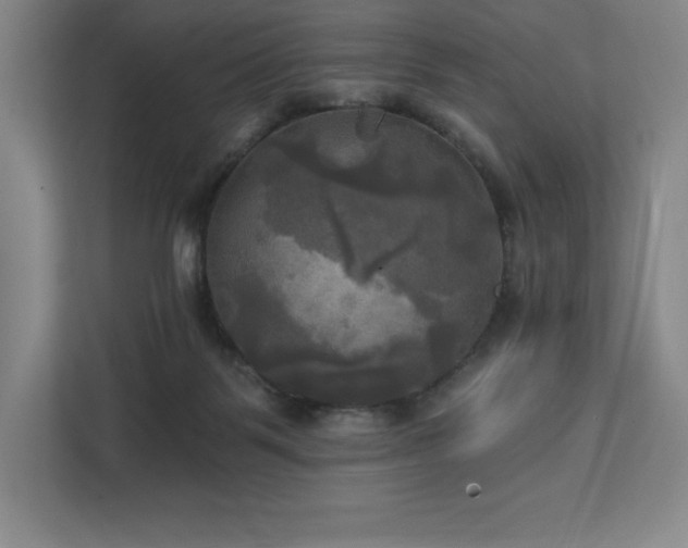 X0000111240123200907021419