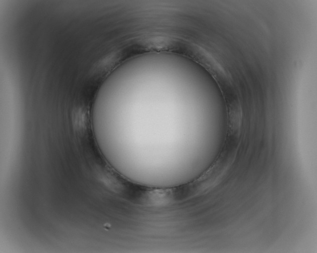 X0000111240126200907021419