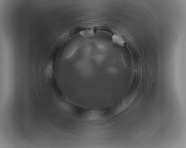 X0000111240127200907021419