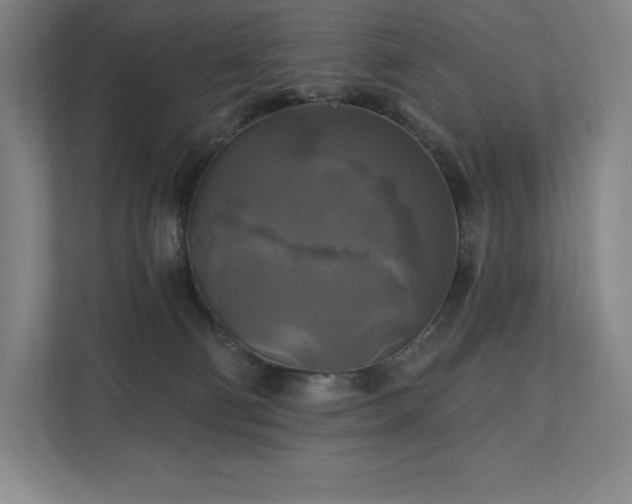 X0000111240130200907021419