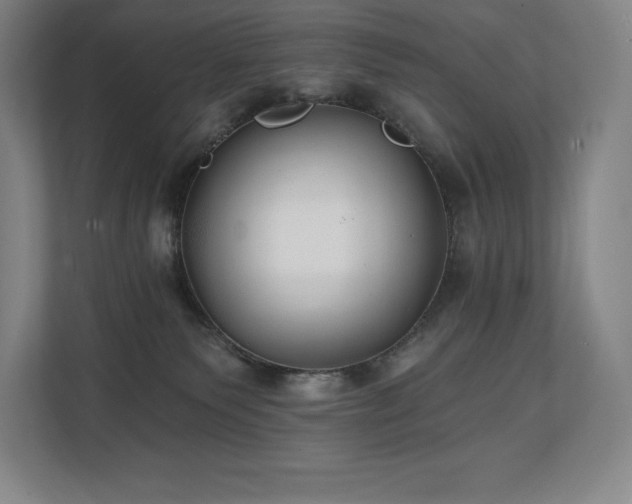 X0000111240135200907021419
