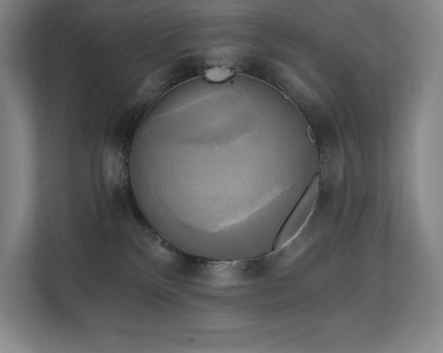 X0000111240136200907021419