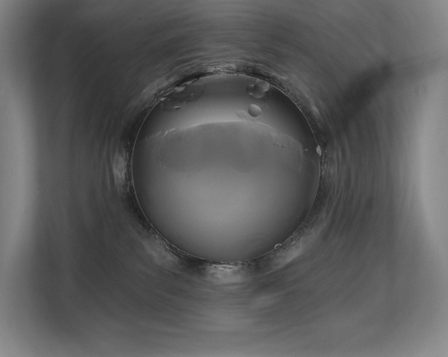 X0000111240139200907021419