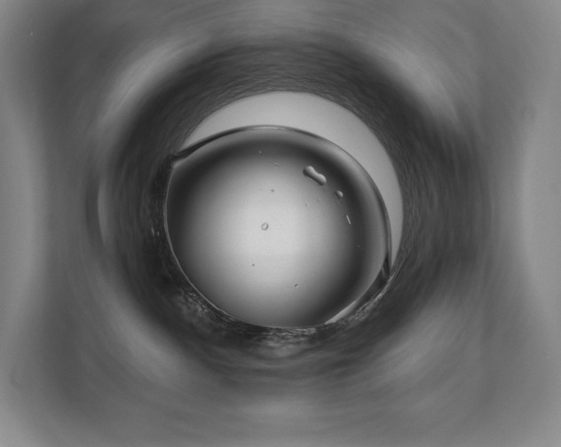 X0000111240140200907021419