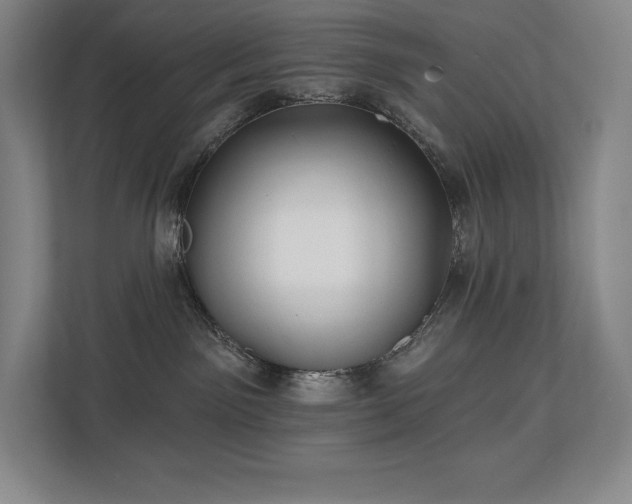 X0000111240141200907021419
