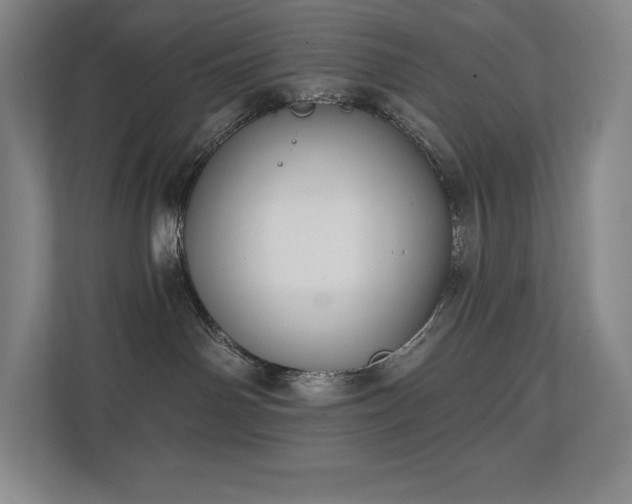 X0000111240142200907021418