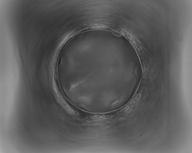 X0000111240145200907021418