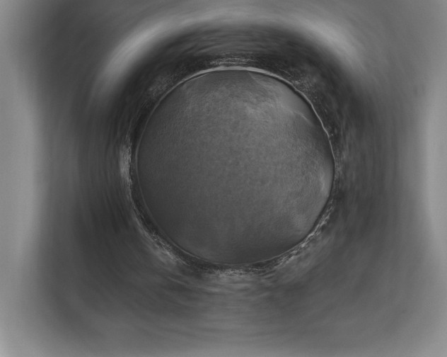 X0000111240146200907021418
