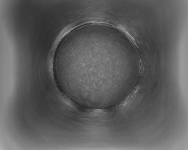 X0000111240151200907021418
