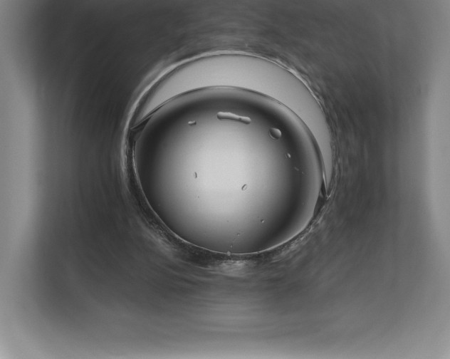 X0000111240152200907021418