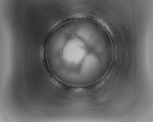X0000111240153200907021418