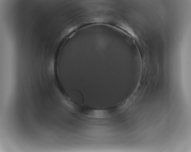 X0000111240154200907021418