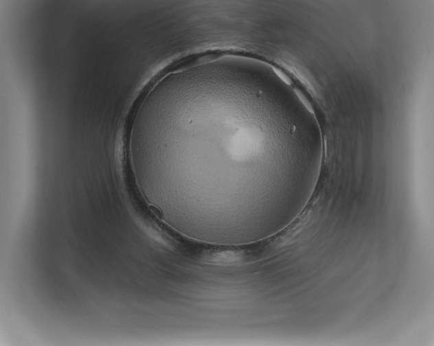 X0000111240156200907021418