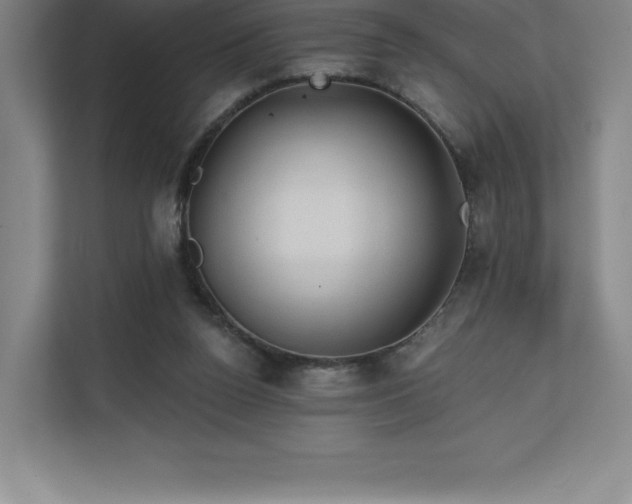 X0000111240160200907021418