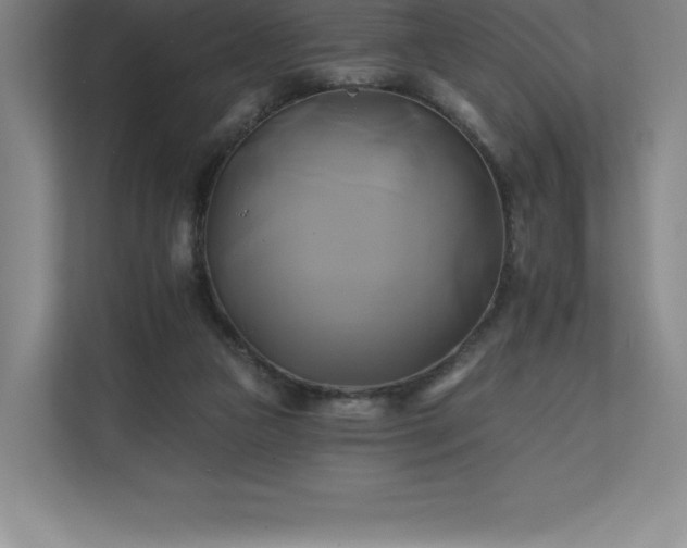 X0000111240161200907021418